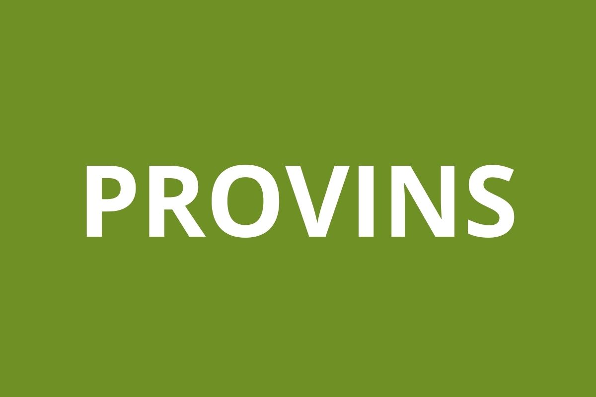 Logo agence CAF PROVINS