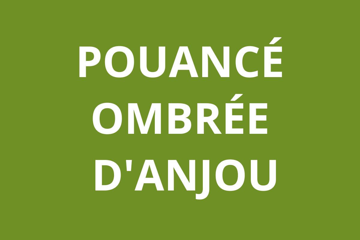 Agene CAF Pouancé - Ombrée d'Anjou