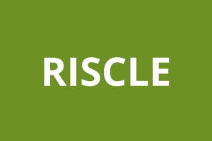 Agence CAF RISCLE