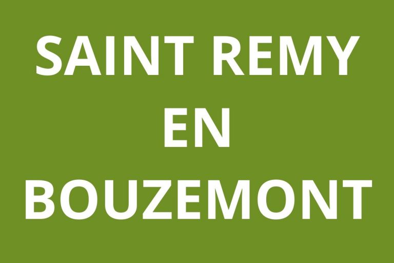 logo Agence CAF SAINT REMY EN BOUZEMONT