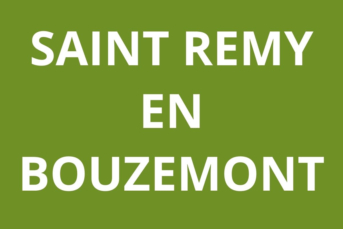 logo Agence CAF SAINT REMY EN BOUZEMONT