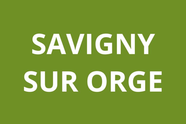 Agence CAF SAVIGNY SUR ORGE