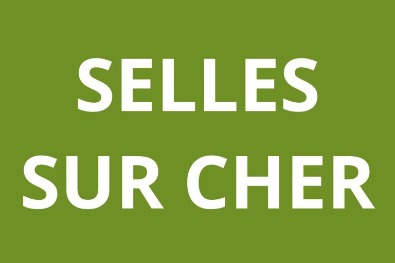 Agence CAF SELLES SUR CHER