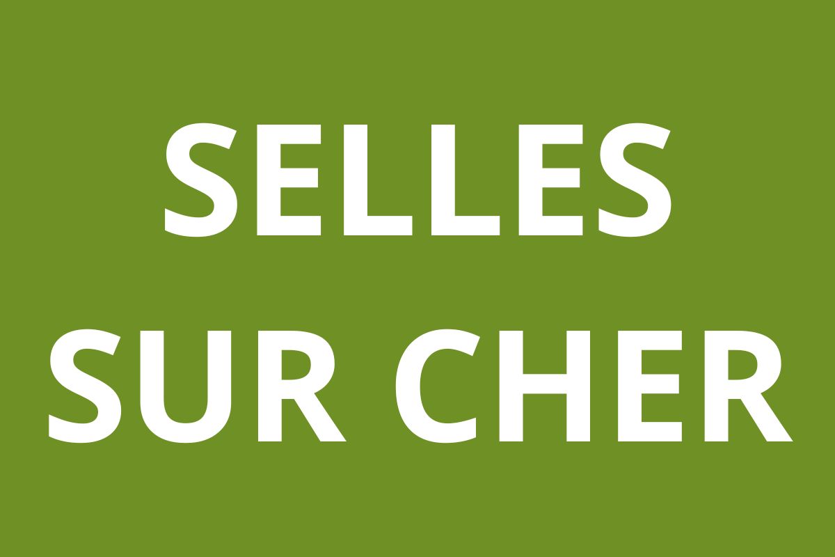 Agence CAF SELLES SUR CHER