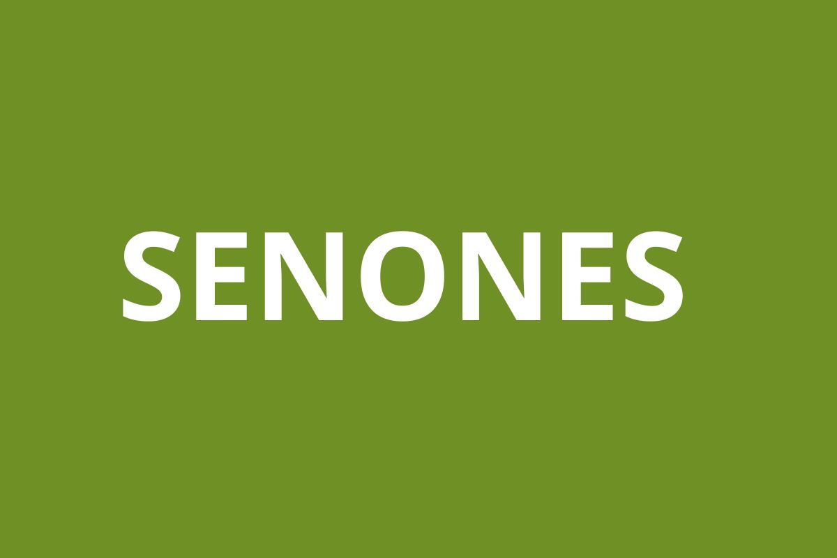 Agence CAF Senones