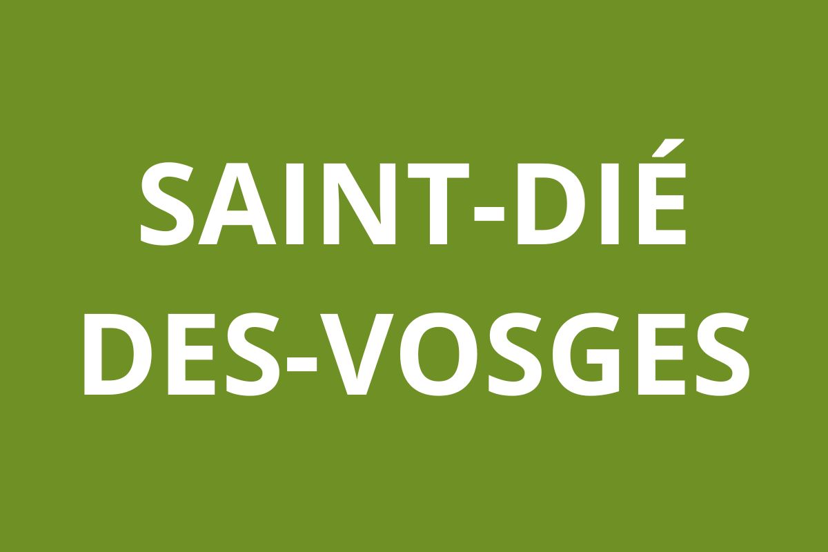 Agence CAF Saint-Dié-des-Vosges