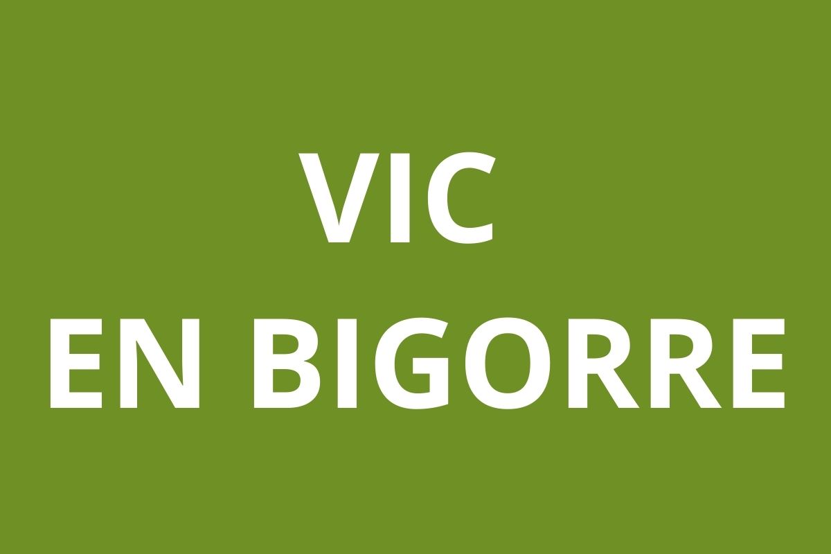 logo agence CAF VIC EN BIGORRE