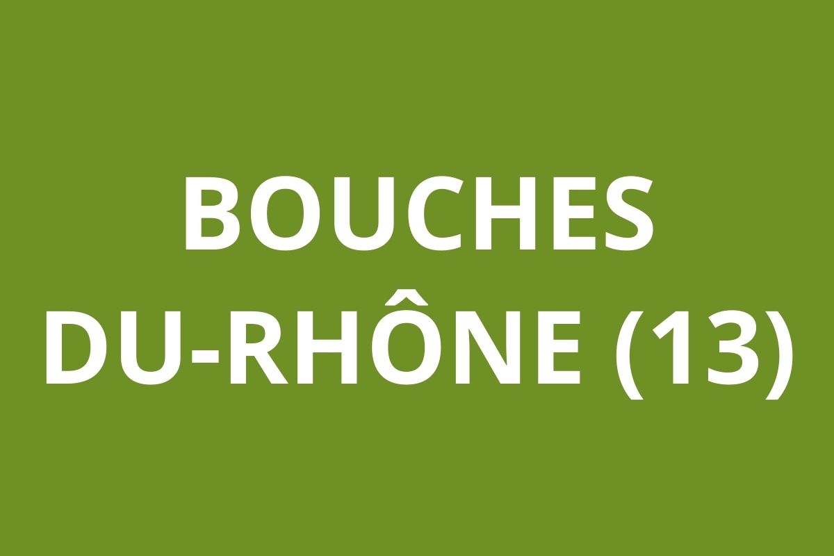 LOGO CAF Bouches-du-Rhône (13)