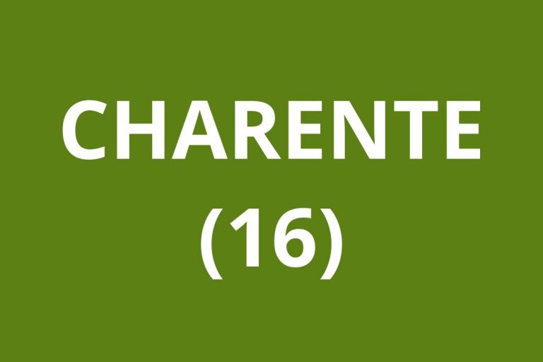 LOGO CAF CHARENTE 16