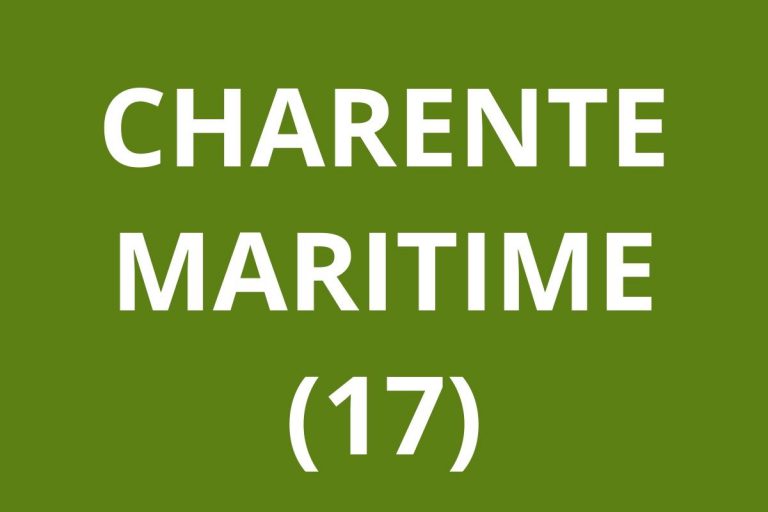 LOGO CAF Charente-Maritime (17)