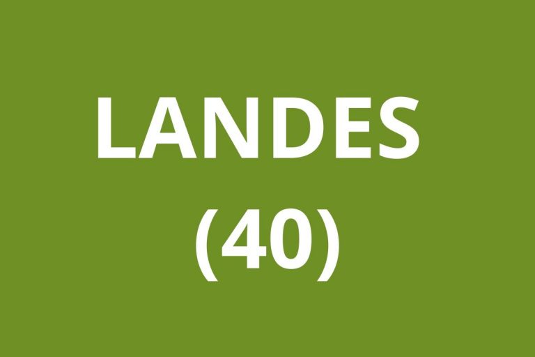 LOGO CAF Landes (40)