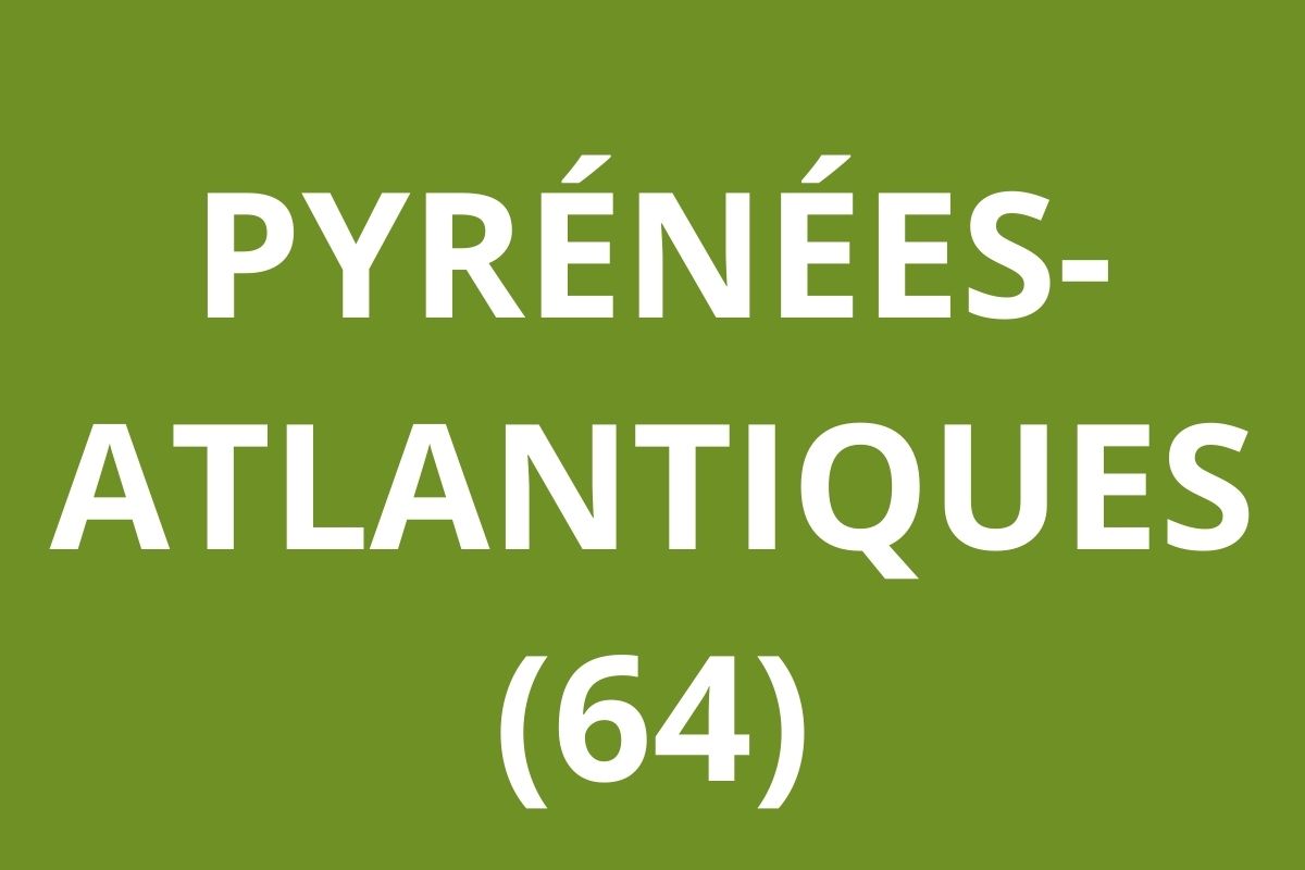 LOGO CAF Pyrénées-Atlantiques (64)