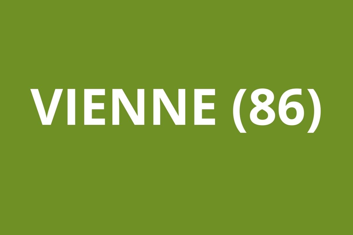 LOGO CAF Vienne (86)