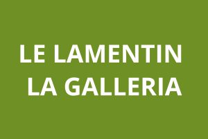Agence CAF LE LAMENTIN- La Galleria