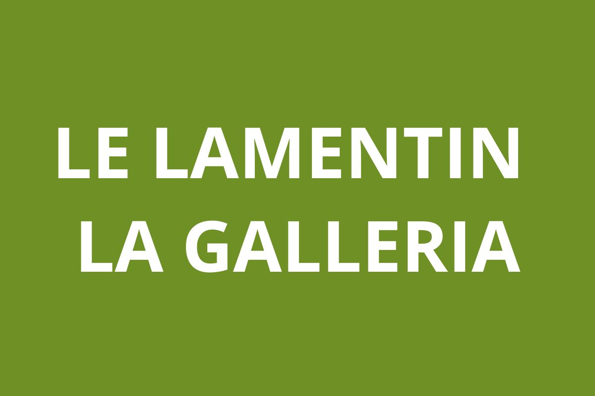 Agence CAF LE LAMENTIN- La Galleria