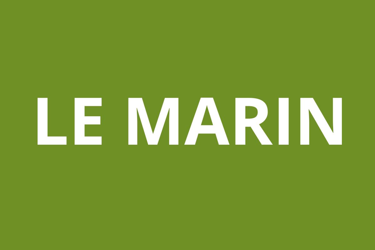 Agence CAF LE MARIN