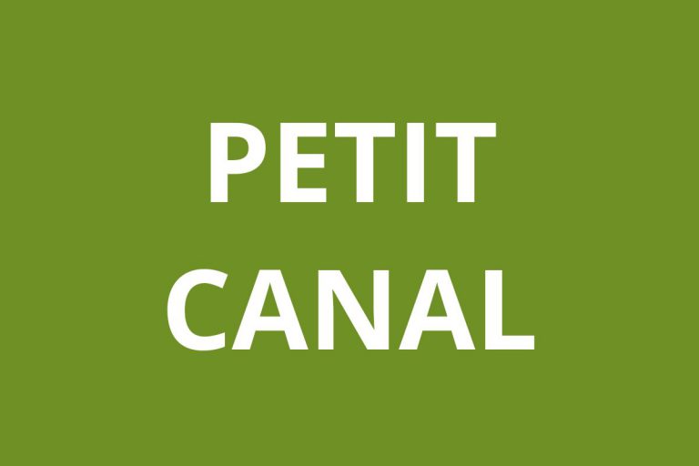 Agence CAF PETIT CANAL