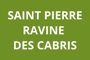 Agence CAF SAINT PIERRE - Ravine des Cabris