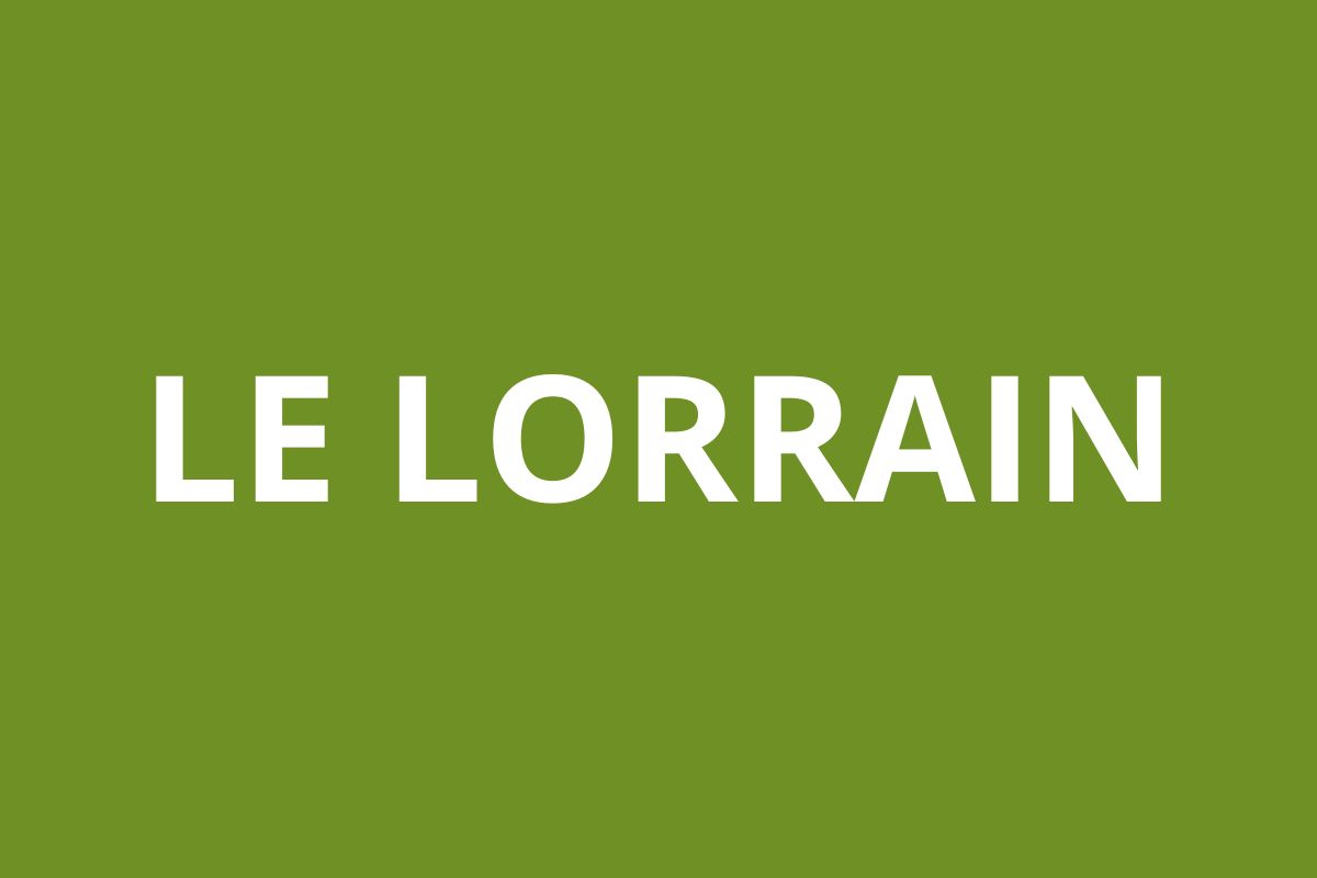 Agence CAF le lorrain