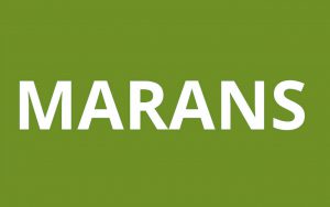 caf MARANS