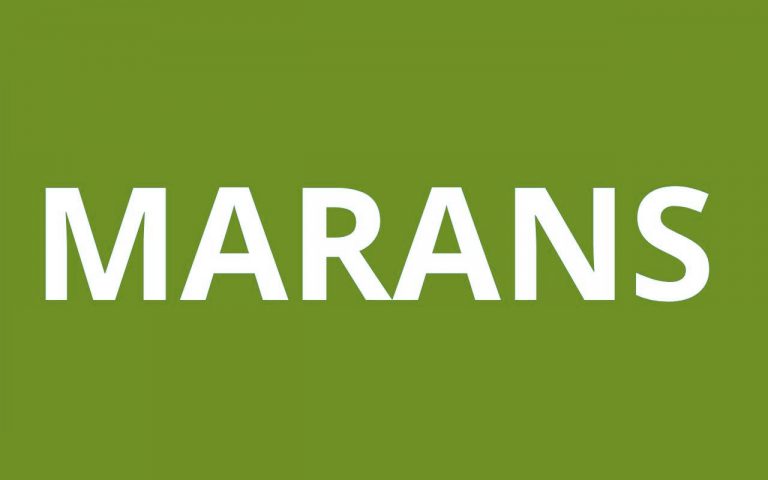 caf MARANS