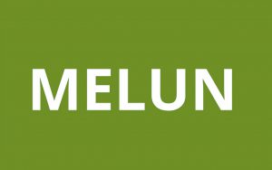 caf melun