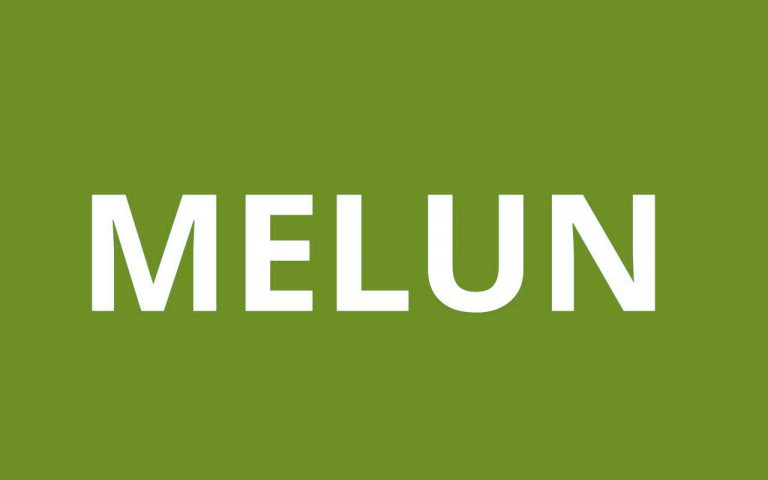 caf melun