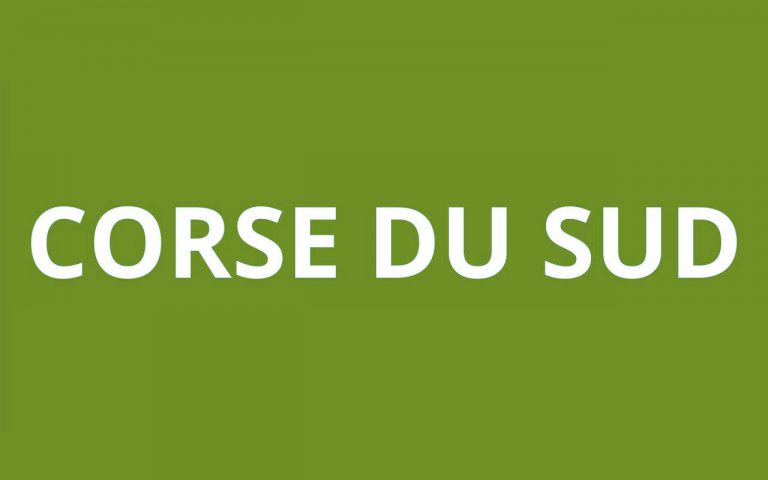 caf Corse du Sud