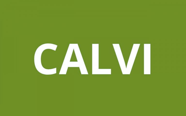 caf CALVI
