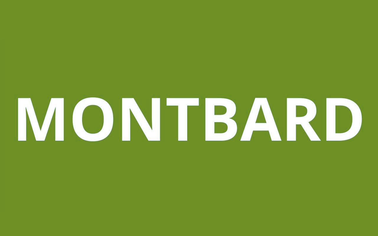 caf MONTBARD