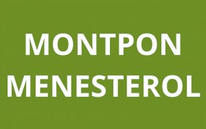 caf MONTPON MENESTEROL