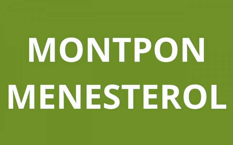 caf MONTPON MENESTEROL