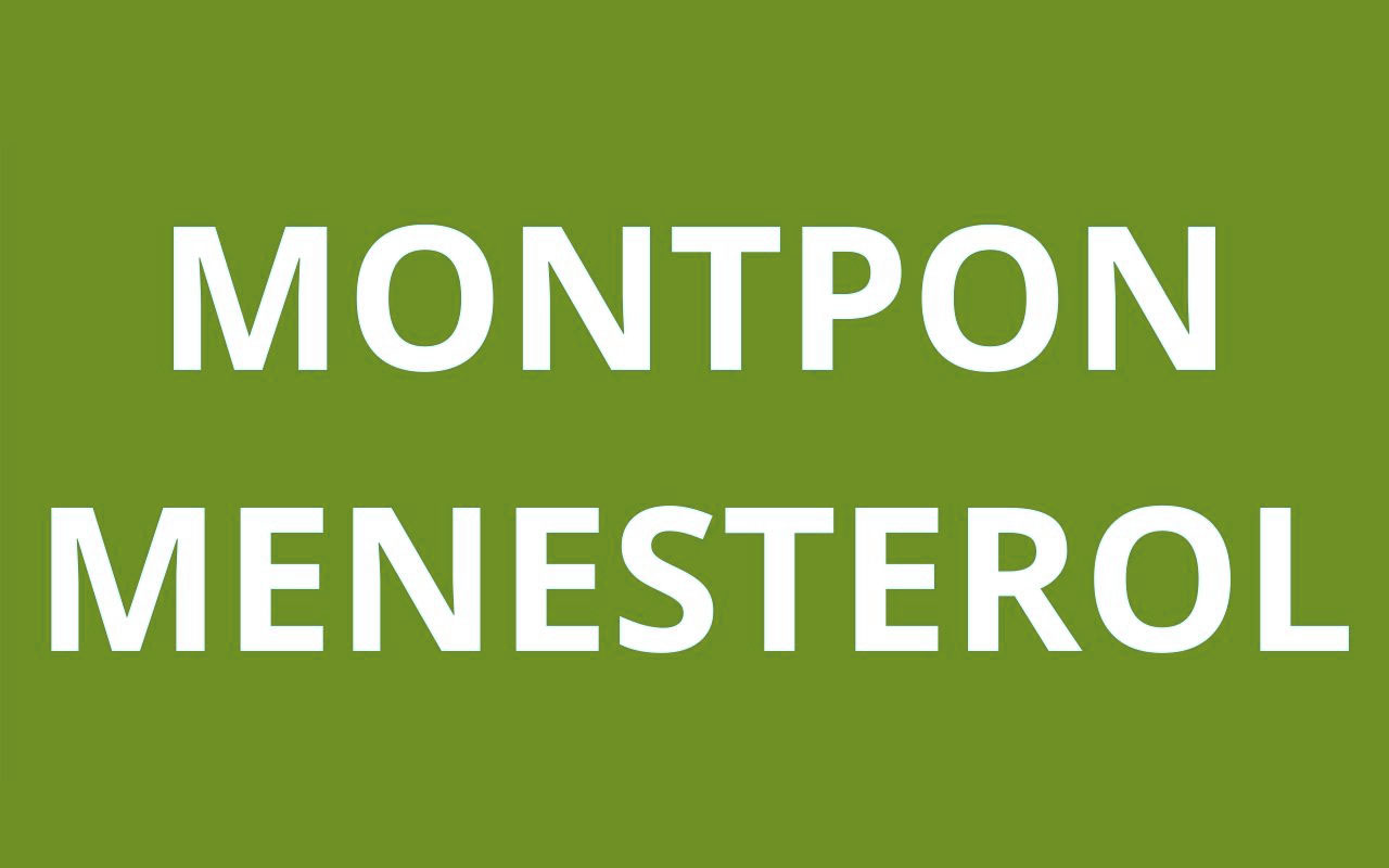 caf MONTPON MENESTEROL
