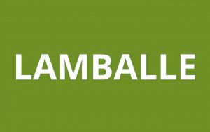 caf LAMBALLE