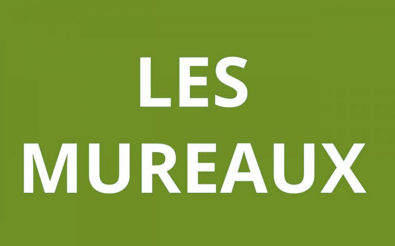 caf LES MUREAUX