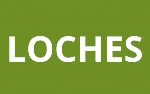 caf LOCHES