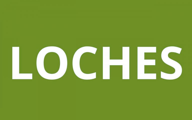 caf LOCHES