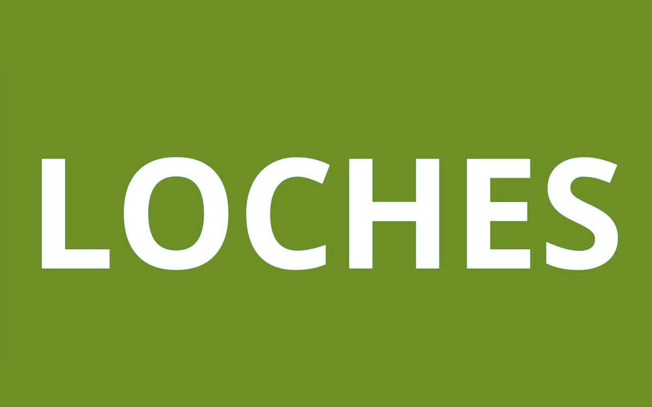 caf LOCHES