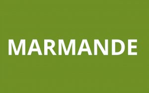 CAF MARMANDE