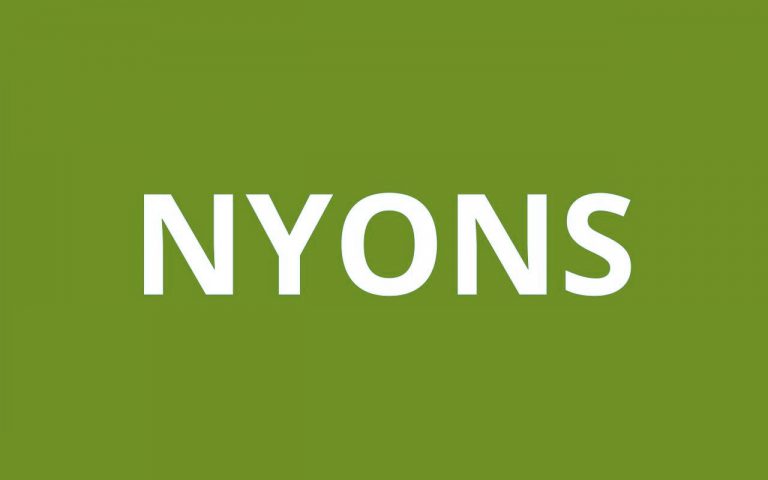 caf NYONS