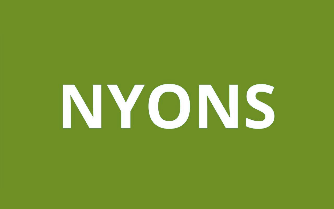 caf NYONS