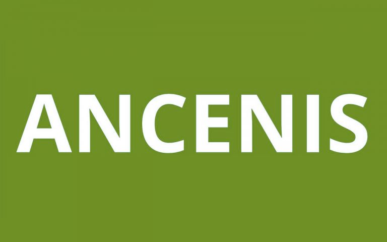 CAF ANCENIS