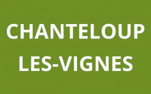 CAF CHANTELOUP-LES-VIGNES