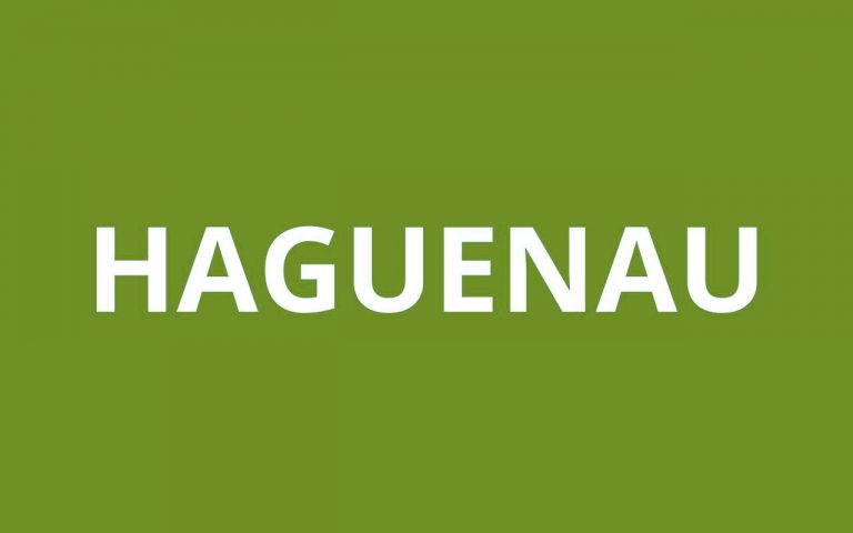 CAF HAGUENAU