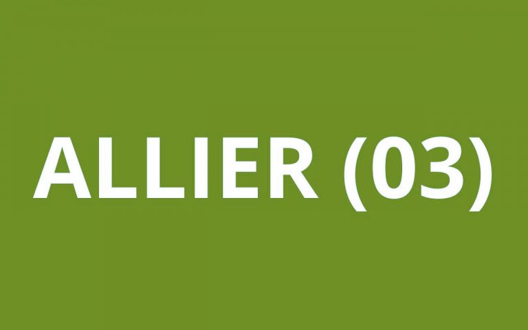 CAF Allier (03)