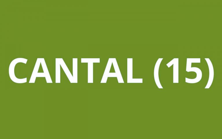 CAF Cantal (15)