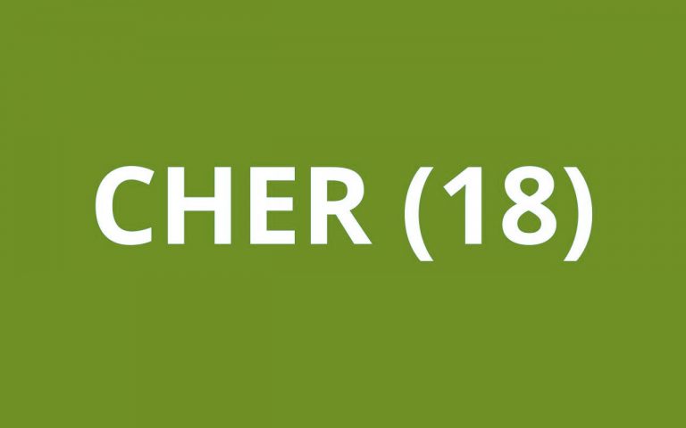 CAF Cher (18)