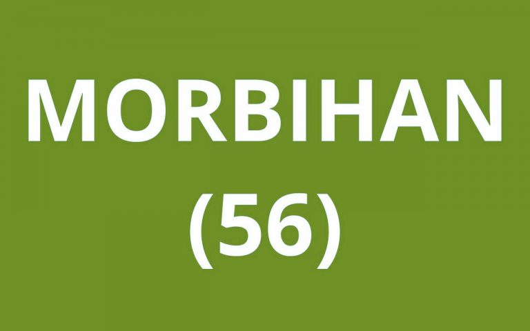 CAF Morbihan (56)