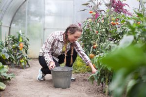 Déclarer un job d'été à la CAF