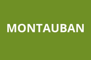 LOGO Montauban agence CAF